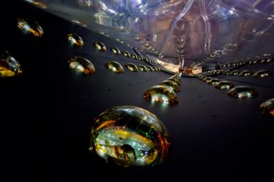 Searching for Transforming Neutrinos