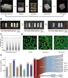 Figure 6 Recyclability, biodegradability, biocompatibility, and economic feasibility of Cel-T plastic.