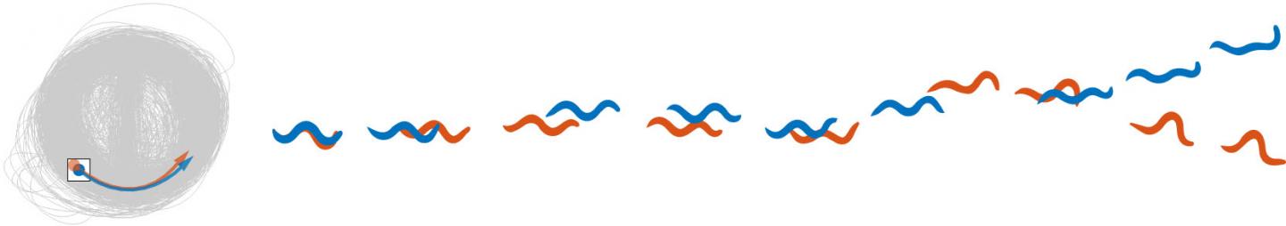 Two Worms
