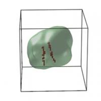 Displacement Field Inside Nanoparticle: During Charge at 4.3 V