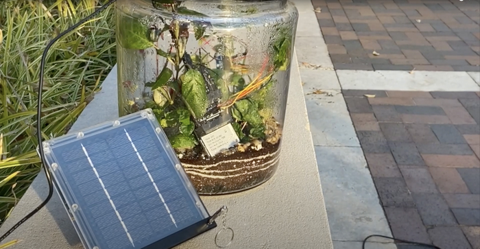 Smart terrarium