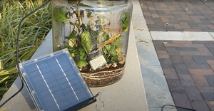 Smart terrarium