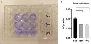 Fig. 2. Biofilm formation ability. (A) Quantitative analysis of biofilm formation ability via crystal violet.