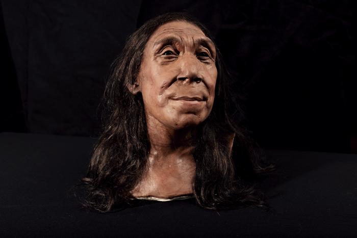 The recreated head of Shanidar Z