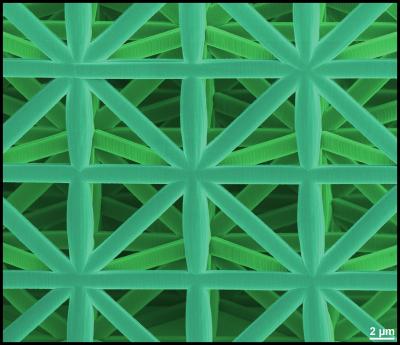 Framework Construction Made of a Ceramic Polymer