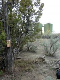 Noise from Gas Compressors Stresses Nesting Birds
