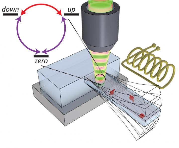 Spin Oscillation