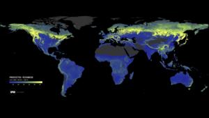 Global ectomycorrhizal biodiversity hotspots