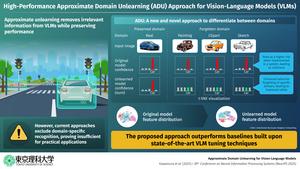 High-Performance Approximate Domain Unlearning