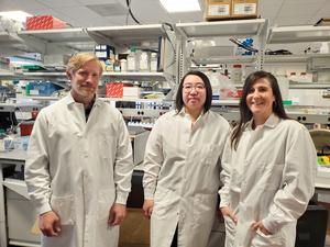 Research Team 2