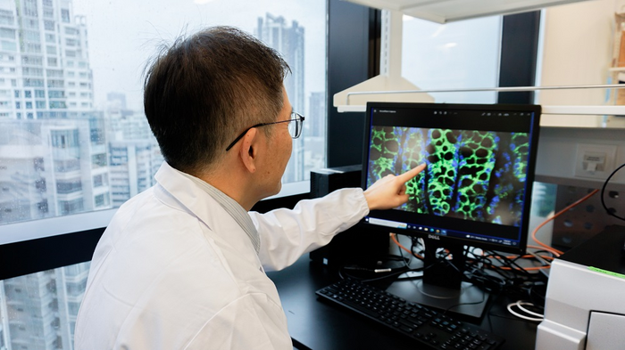 NTU Singapore launches microbiome research centre to find new ways for treating obesity and chronic diseases