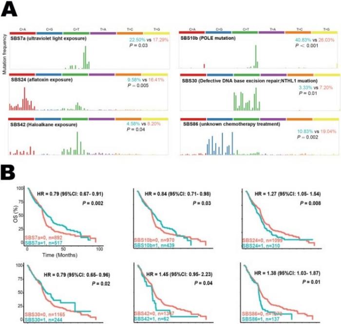 COSMIC reference signatures associated with MET mutation.