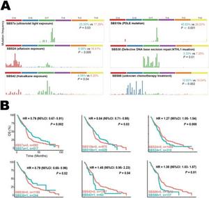 COSMIC reference signatures associated with MET mutation.
