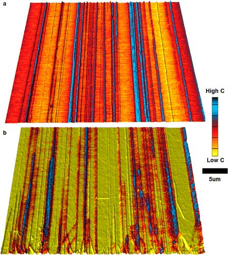 MIM Imaging of SWNT Array