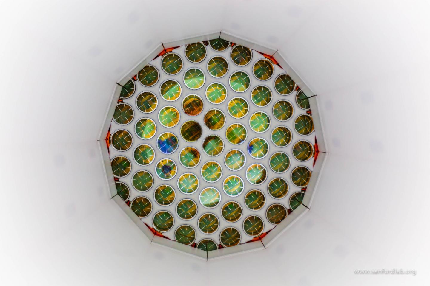 LUX Photodetector