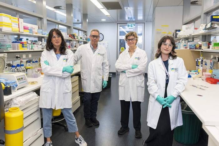 Research team (1)