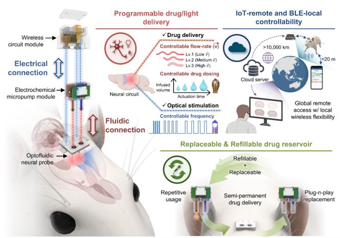 Neural Implant in Korea Remotely Controlled from the United States, Bringing Brain Research into the IoT Era