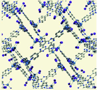 Binding Modes Found in the Pore of a Crystalline Sponge