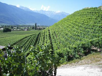 First Aid for Winemakers