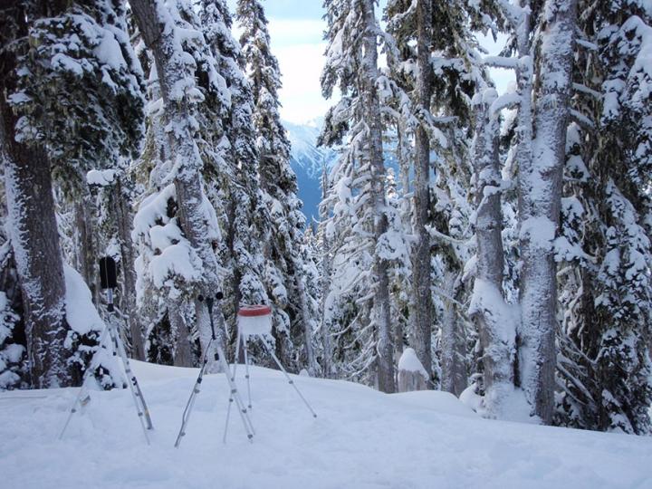 NPS Acoustic Monitoring Site (3 of 3)