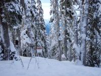 NPS Acoustic Monitoring Site (3 of 3)