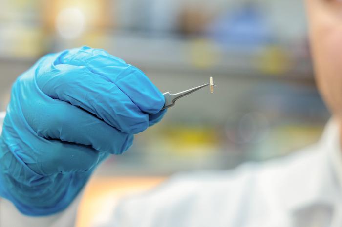 NYU Abu Dhabi and Cleveland Clinic Abu Dhabi Researchers Develop Injectable Device to Control Nerves Without Surgery