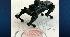 Muotri-Robot
