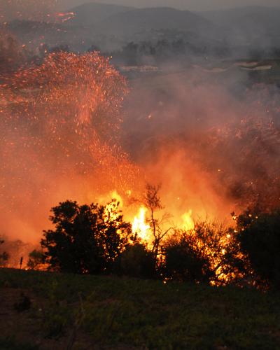 Witch Fire 2007