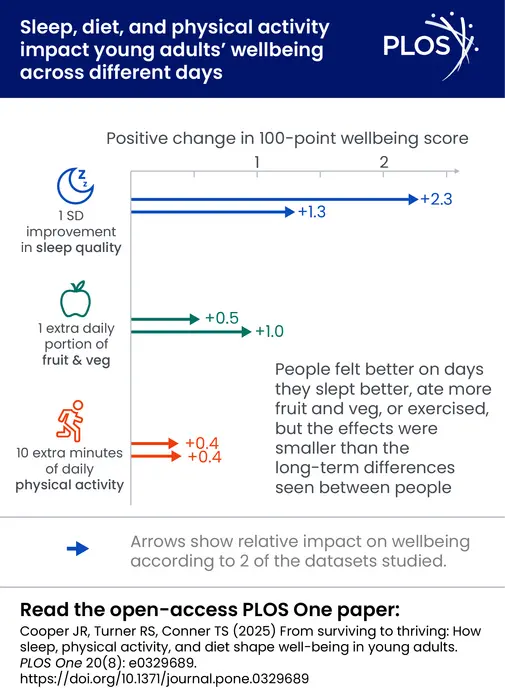 From surviving to thriving: How sleep, physical activity, and diet shape well-being in young adults