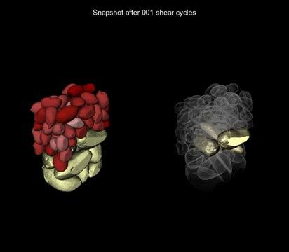 Brazil Nut Effect Imaging - The University of Manchester