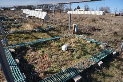 Simulating Warmer Soils