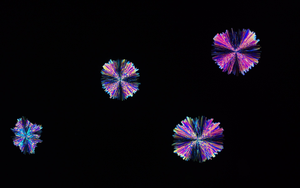 New crystal form of imidacloprid insecticide