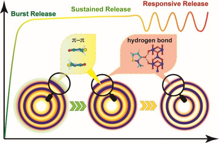 Schematic Illustration