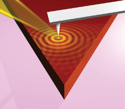 Surface Phonon Polaritons