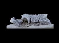 <i>Romundia</i> Scull