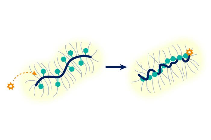 A small reaction space has a big impact on polymer chemistry