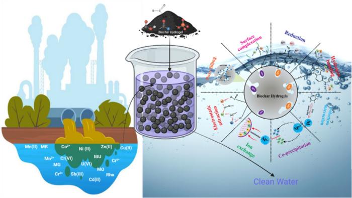 Unlocking the Chemical Blueprint for Next-Generation Water Filters