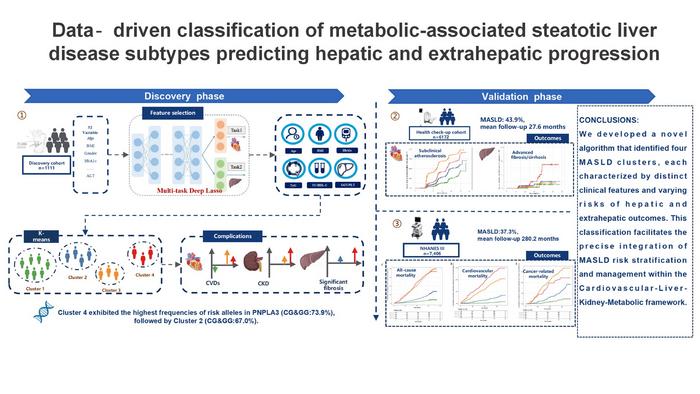 Multi-Task Deep Learning Identifies Four MASLD Subtypes for Precision Cardiovascular–Liver–Kidney–Metabolic Management