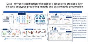 Multi-Task Deep Learning Identifies Four MASLD Subtypes for Precision Cardiovascular–Liver–Kidney–Metabolic Management