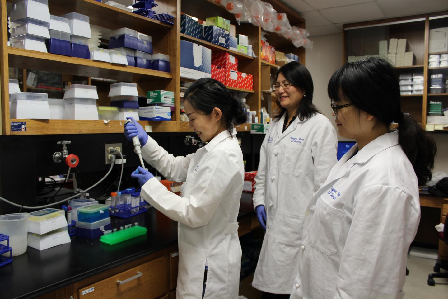 Islet Cell Lab