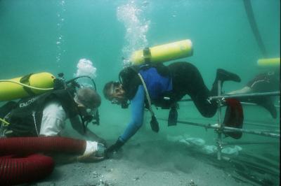 Excavations off the Coast of Acre