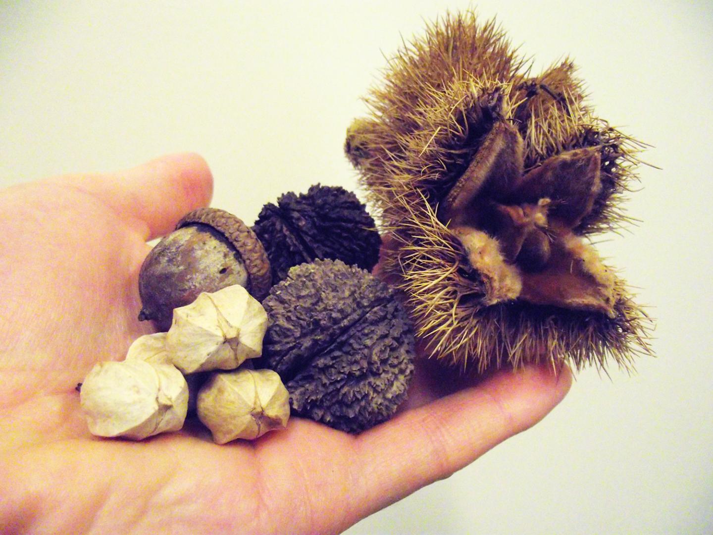 Tree Nuts