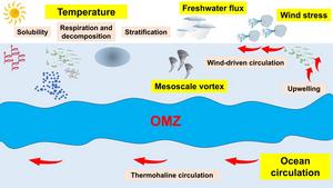 Driving factors of OMZ in the context of global change.