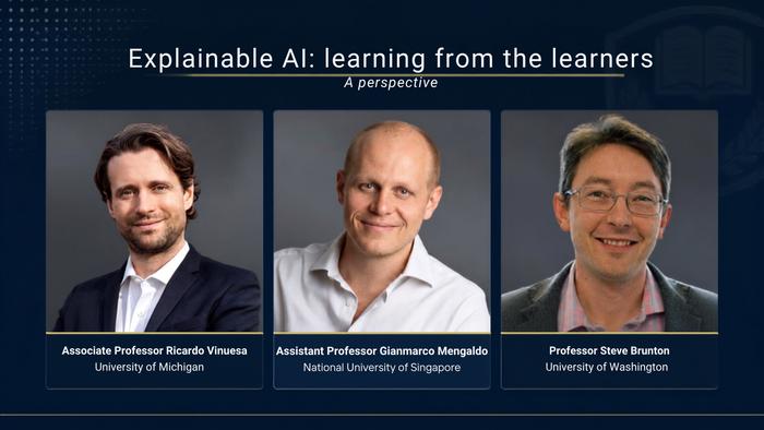An explainable AI framework for scientific discovery and high-stakes applications