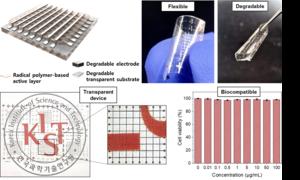 [Figure 1] Biodegradable, biocompatible, eco-friendly, and high-performance memory devices that completely disappear