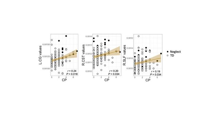 Correlation plots between CP and L.CG, CP and R.CST, and CP and R.SLF