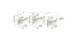 Correlation plots between CP and L.CG, CP and R.CST, and CP and R.SLF