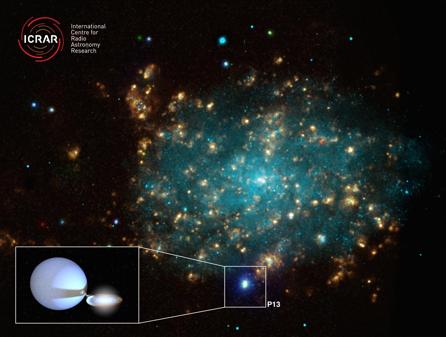 Spiral Galaxy NGC7793 Showing Location of Black Hole P13