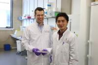 Fighting Autoimmunity and Cancer: The Nutritional Key