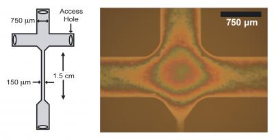 'Nanoglassblowing' Seen as Boon to Study of Individual Molecules